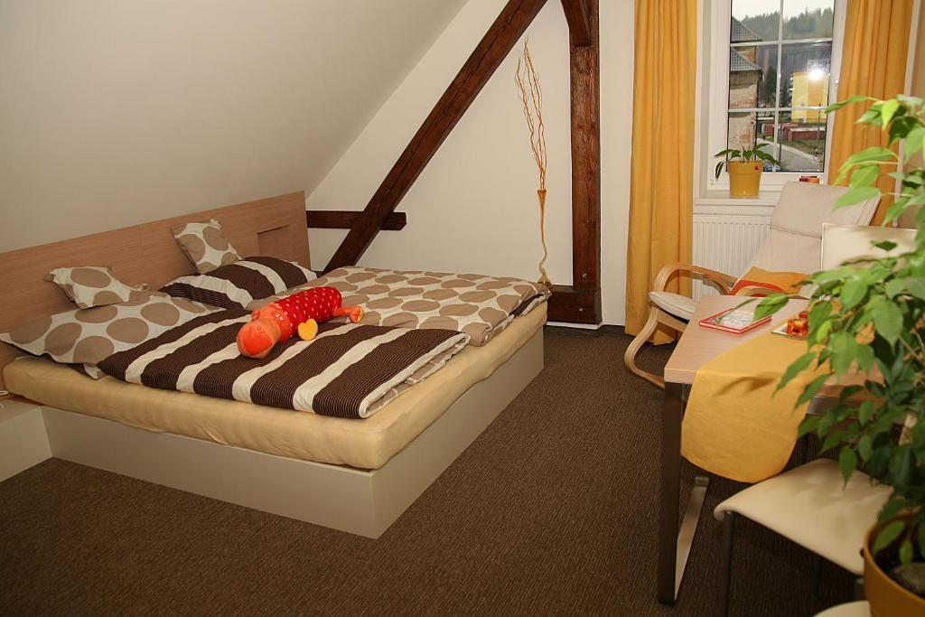 Penzion a relax centrum Andělka Hanušovice Camera foto